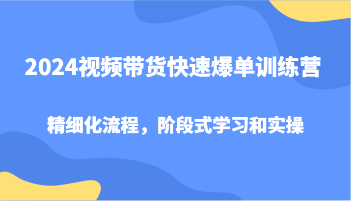 2024视频带货快速爆单训练营，精细化流程，阶段式学习和实操-皮皮网创