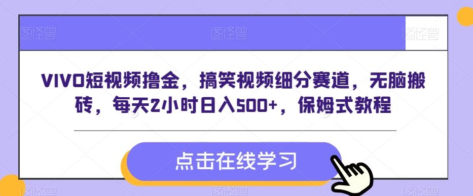 VIVO短视频撸金，搞笑视频细分赛道，无脑搬砖，每天2小时日入500+，保姆式教程-皮皮网创