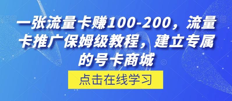 一张流量卡赚100-200，流量卡推广保姆级教程，建立专属的号卡商城-皮皮网创