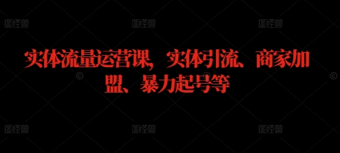 实体流量运营课，实体引流、商家加盟、暴力起号等-皮皮网创