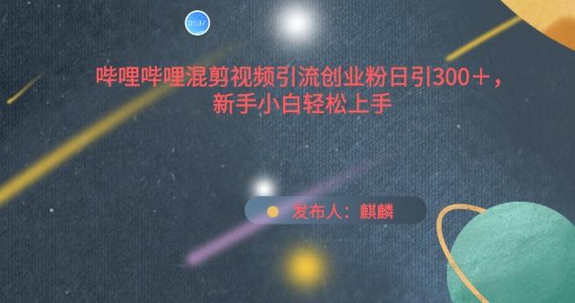 哔哩哔哩混剪视频引流创业粉日引300+，新手小白轻松上手【揭秘】-皮皮网创