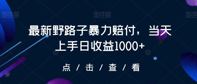 最新野路子暴力赔付，当天上手日收益1000+【仅揭秘】-皮皮网创