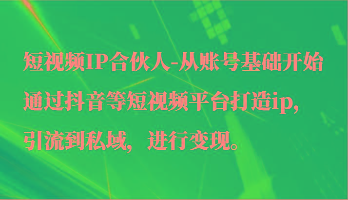 短视频IP合伙人-从账号基础开始通过抖音等短视频平台打造ip，引流到私域，进行变现。-皮皮网创