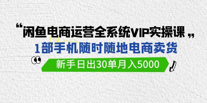 (9547期)闲鱼电商运营全系统VIP实战课，1部手机随时随地卖货，新手日出30单月入5000-皮皮网创