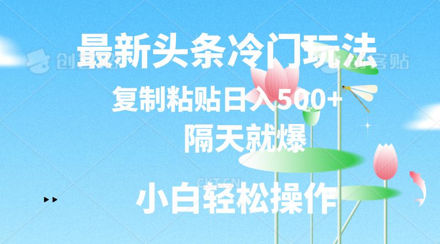 最新头条冷门玩法，隔天就爆，复制粘贴日入500+-皮皮网创