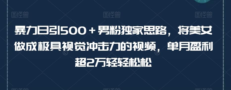 暴力日引500＋男粉独家思路，将美女做成极具视觉冲击力的视频，单月盈利超2万轻轻松松-皮皮网创