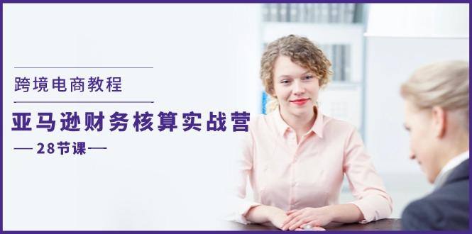 跨境电商教程：亚马逊-财务核算实战营(28节课-皮皮网创