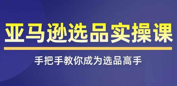 亚马逊选品实操课程，快速掌握亚马逊选品的技巧，覆盖亚马逊选品所有渠道-皮皮网创