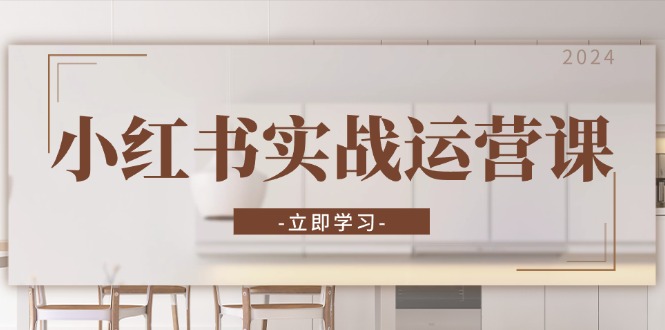 小红书实战运营课：从开通店铺到直播话术，打造爆款笔记与高效直播-皮皮网创