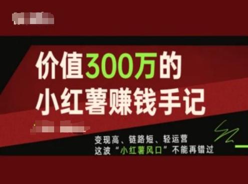 价值300万的小红书赚钱手记，变现高、链路短、轻运营，这波“小红薯风口”不能再错过-皮皮网创