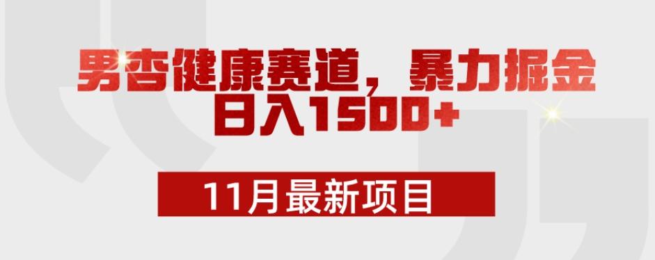 11月最新项目，男杏健康赛道，暴力掘金，日入1500+-皮皮网创