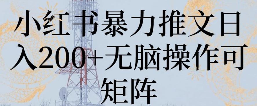 小红书暴力推文日入200+无脑操作可矩阵【揭秘】-皮皮网创