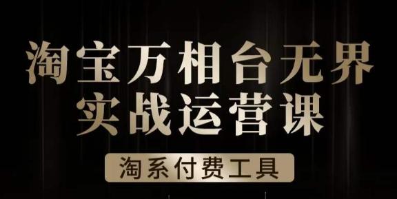 沧海·淘系万相台无界实战运营课，万相台无界实操全案例解析-皮皮网创