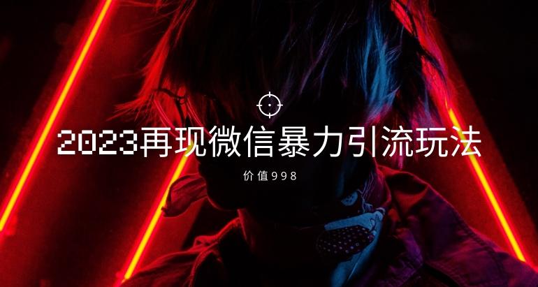价值998元2023最新微信暴力引流玩法，日引流50-100+-皮皮网创