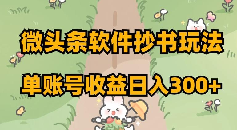 微头条软件抄书玩法，单账号收益日入300+【揭秘】-皮皮网创