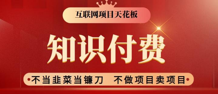2024互联网项目天花板，新手小白也可以通过知识付费月入10W，实现财富自由【揭秘】-皮皮网创