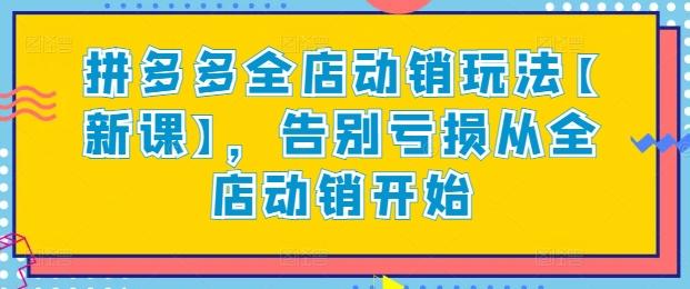 拼多多全店动销玩法【新课】，告别亏损从全店动销开始-皮皮网创
