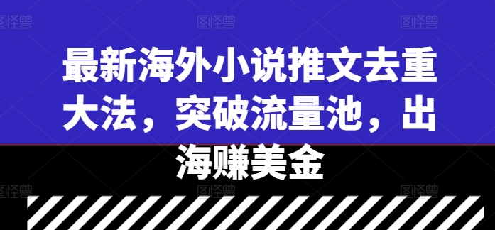 最新海外小说推文去重大法，突破流量池，出海赚美金-皮皮网创