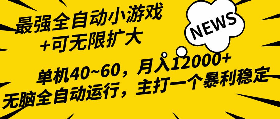 (10046期)2024最新全网独家小游戏全自动，单机40~60,稳定躺赚，小白都能月入过万-皮皮网创