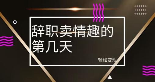 冷门赛道，辞职卖情趣的第几天，超暴力项目-皮皮网创