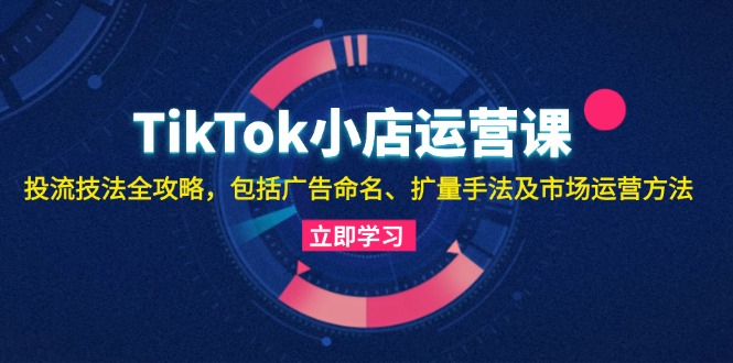 TikTok小店运营课：投流技法全攻略，包括广告命名 扩量手法及市场运营方法-皮皮网创