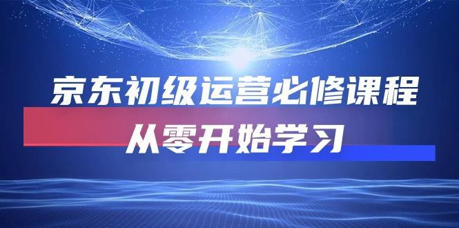 京东初级运营必修课程，从零开始学习(49节课-皮皮网创