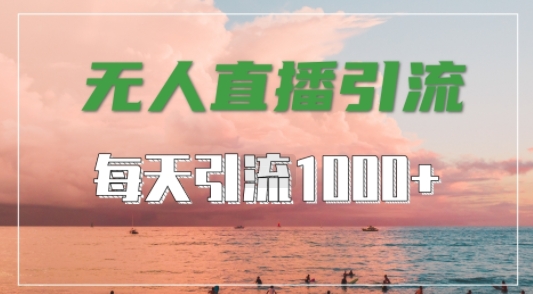 抖音快手视频号全平台通用，无人直播引流法，超暴力引流1000+高质量精准创业粉【揭秘】-皮皮网创