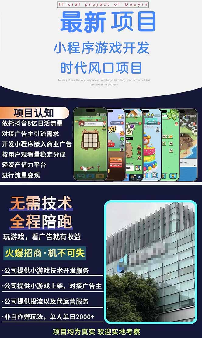 图片[1]-2025最热抖音项目 Ai时代风口项目小程序游戏开发 实测单个游戏日收入1800+-皮皮网创