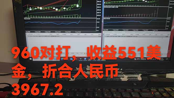 图片[1]-稳定8年的美刀搬砖项目，单人每日收益800—3000.团队4人月入10W+.可线下-皮皮网创