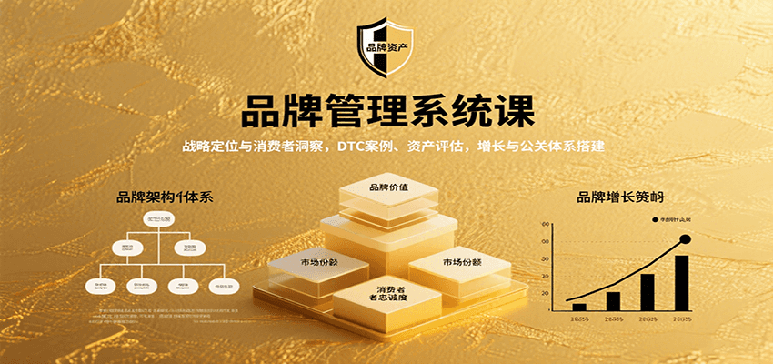 图片[1]-品牌管理系统课：战略定位与消费者洞察，DTC案例、资产评估，增长与公关体系搭建-皮皮网创