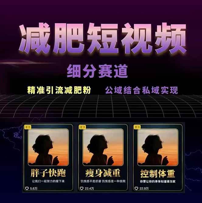 图片[2]-减肥短视频运营实战课：含素材制作、剪映教学，讲精准引流、变现设计与内容模板技巧-皮皮网创