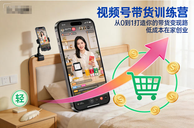 视频号带货训练营，从0到1打造你的带货变现路，低成本在家创业-皮皮网创