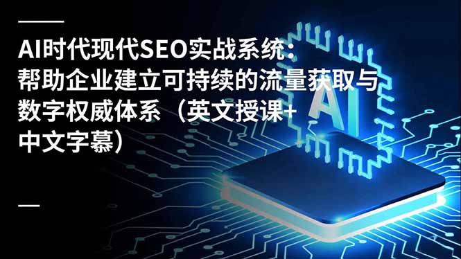 AI时代现代SEO实战系统:帮助企业建立可持续的流量获取与数字权威体系(英文授课+中文字幕-皮皮网创