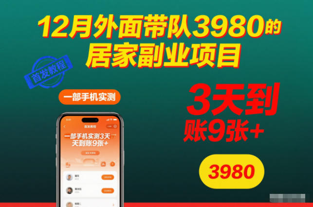 12月外面带队3980的居家副业项目,一部手机实测3天到账9张+,首发教程【揭秘】-皮皮网创
