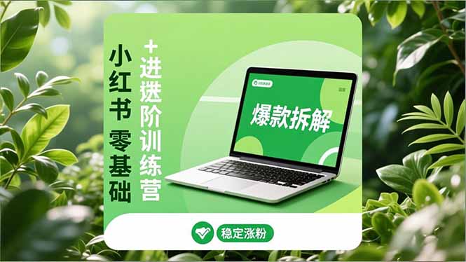 小红书零基础+高阶训练营:安全养号、爆款拆解、长效运营,实现稳定涨粉与变现-皮皮网创