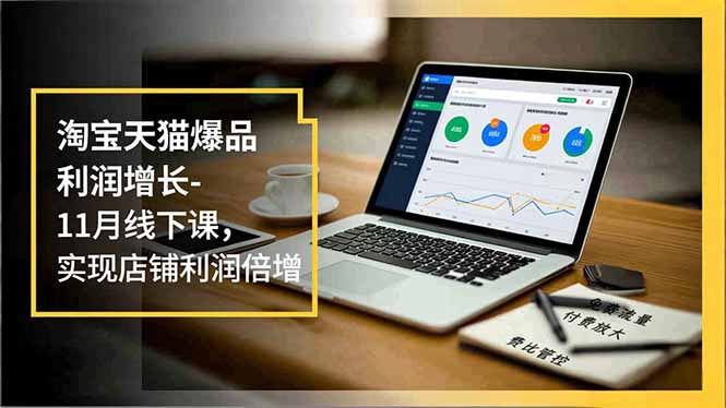 淘宝天猫爆品利润增长-11月线下课,免费流量、付费放大、费比管控,实现店铺利润倍增-皮皮网创
