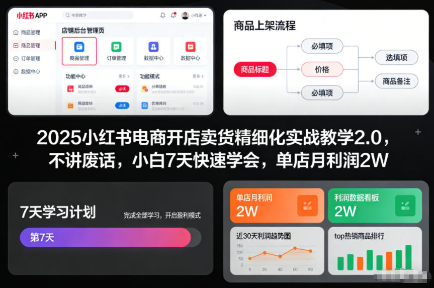 2025小红书电商开店卖货精细化实战教学2.0，不讲废话，小白7天快速学会，单店月利润2W-皮皮网创