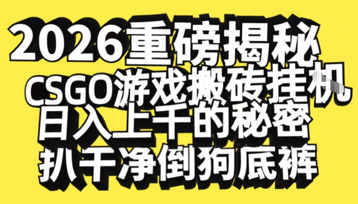 2026开年重磅解密，CSGO游戏搬砖挂G日入1k+的秘密，把倒狗的底裤扒干【揭秘】-皮皮网创