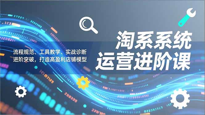 淘系系统运营进阶课2.0，流程规范、工具教学、实战诊断，进阶突破，打造高盈利店铺模型-皮皮网创