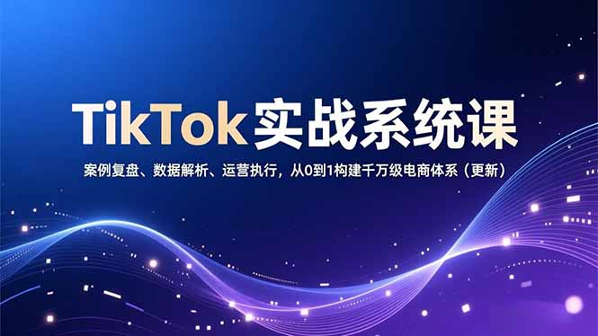 TikTok实战系统课，案例复盘、数据解析、运营执行，从0到1构建千万级电商体系(更新-皮皮网创