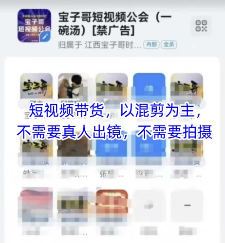 宝子哥头部团队短视频带货，以混剪为主，不需要真人出镜，不需要拍摄【更新11月】-皮皮网创