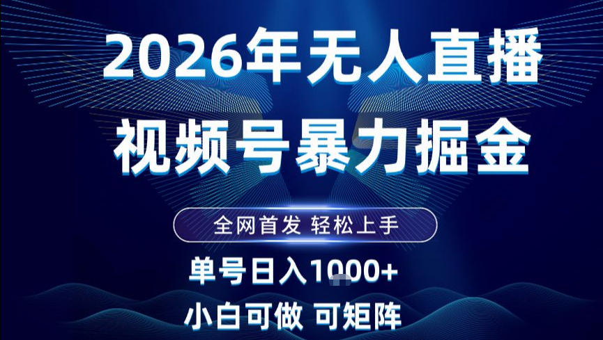 2026最新视频号无人直播掘金，全网首发，小白可以玩，长期稳定日入1k+【揭秘】-皮皮网创