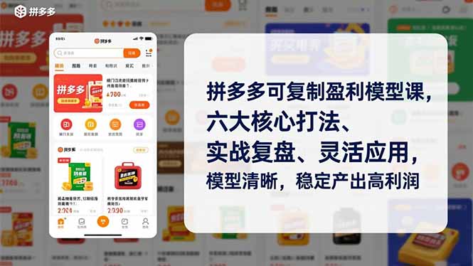 拼多多可复制盈利模型课，六大核心打法、实战复盘、灵活应用，模型清晰，稳定产出高利润-皮皮网创