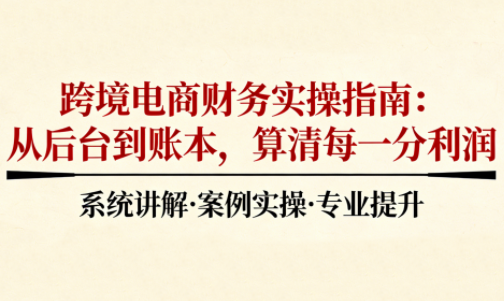 2025跨境电商财务实操指南-皮皮网创