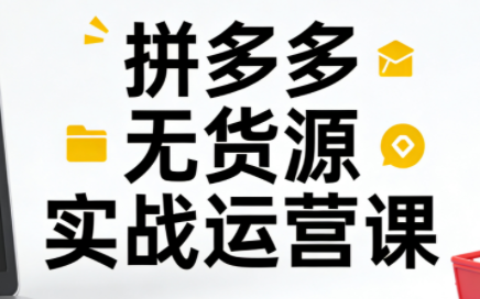 子枫老师·拼多多无货源实战运营课(更新12月)-皮皮网创