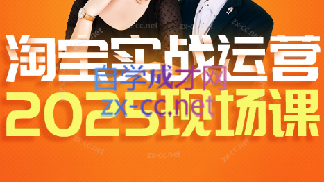 推易·淘宝全套运营现场课程(更新12月)-皮皮网创