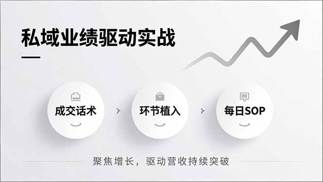 私域业绩驱动实战，成交话术、环节植入、每日SOP，聚焦增长，驱动营收持续突破-皮皮网创