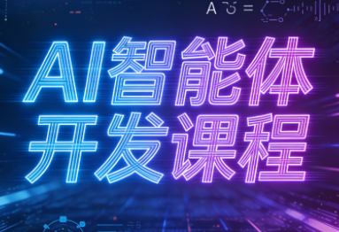 迪哥·2025AI智能体开发课程-皮皮网创