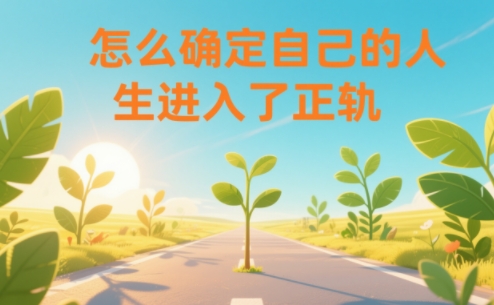 某公众号付费文章：怎么确定自己的人生进入了正轨？-皮皮网创