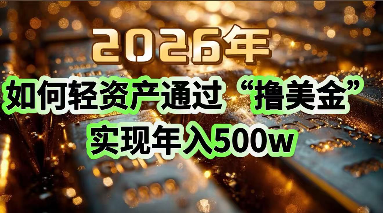 2026年如何轻资产通过“撸美金”实现年入500w-皮皮网创